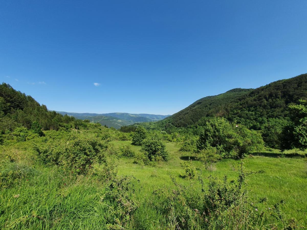 Zavojsko Jezero Pirot - Smestaj Manic 乡村民宿 *